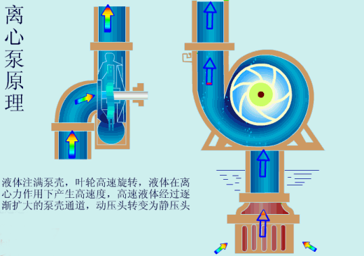 澳门新京葡平台