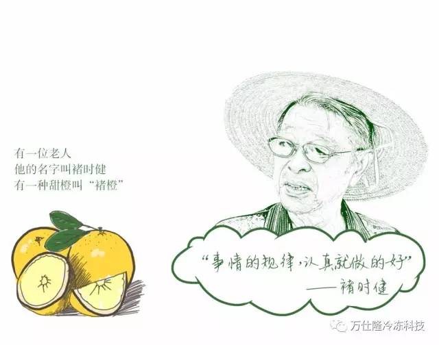 澳门新京葡平台